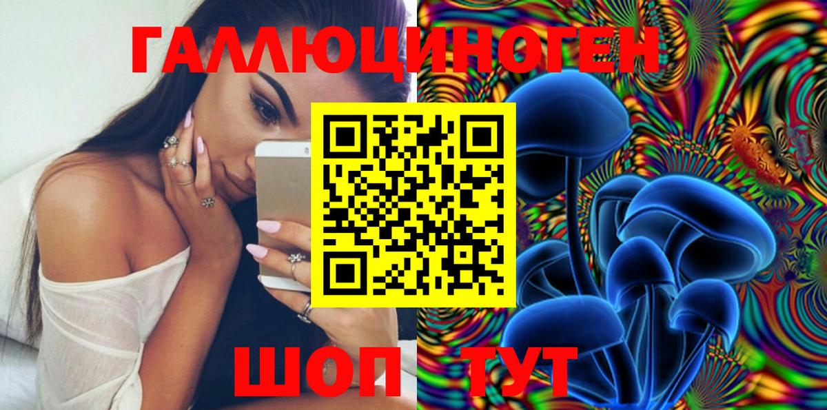 Кизляр  Галлюциногенные грибы MAGIC MUSHROOMS  Вход с VPN 