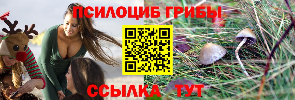 Галлюциногенные грибы прущие грибы Кизляр